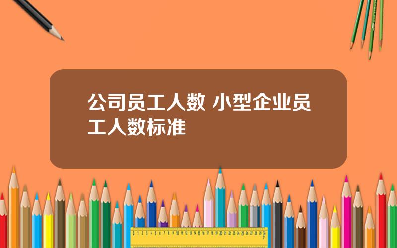公司员工人数 小型企业员工人数标准